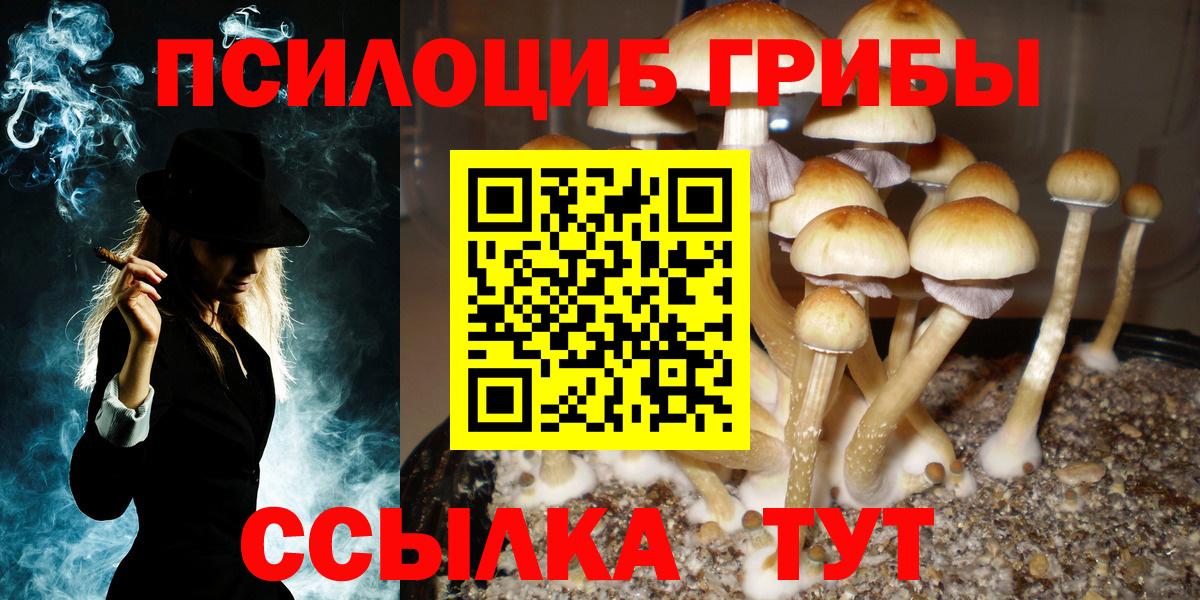 Южноуральск  Галлюциногенные грибы ЛСД  Вход с VPN 